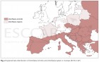 Fig. 2 Verspreiding van Dirofilaria immitis en Dirofilaria repens in Europa